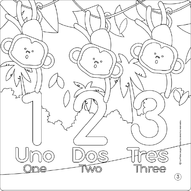 imagen pruducto Cuento Colorerar Selva
